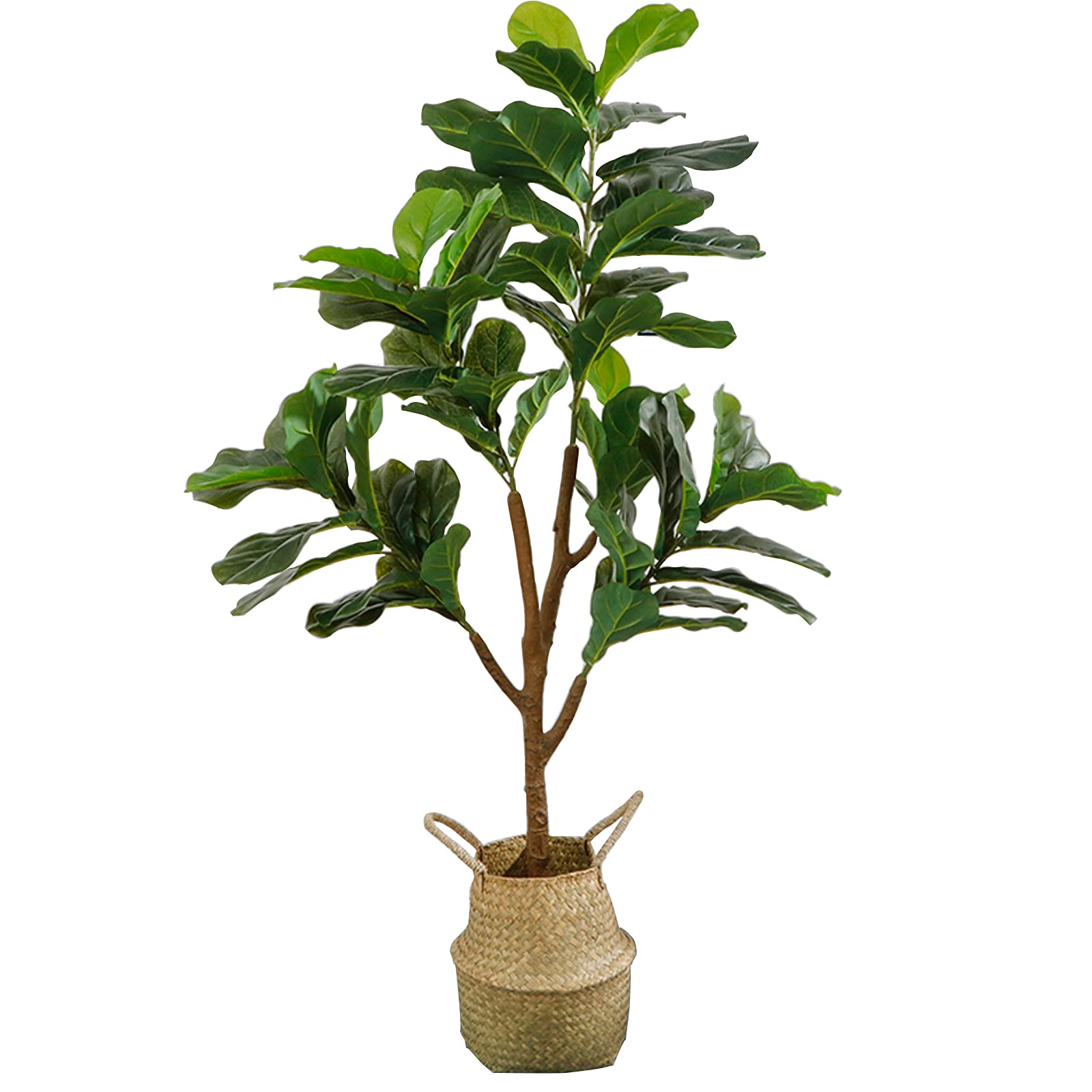 Amazon｜ZJL 人工観葉植物 フィカス・ウンベラータ フェイクグリーン