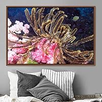Framed Canvas Wall Art Deep Under Group Jellyfish Marine Life Multicolor Photography Realism Tropical Ultra Whimsical - 16x24 inches