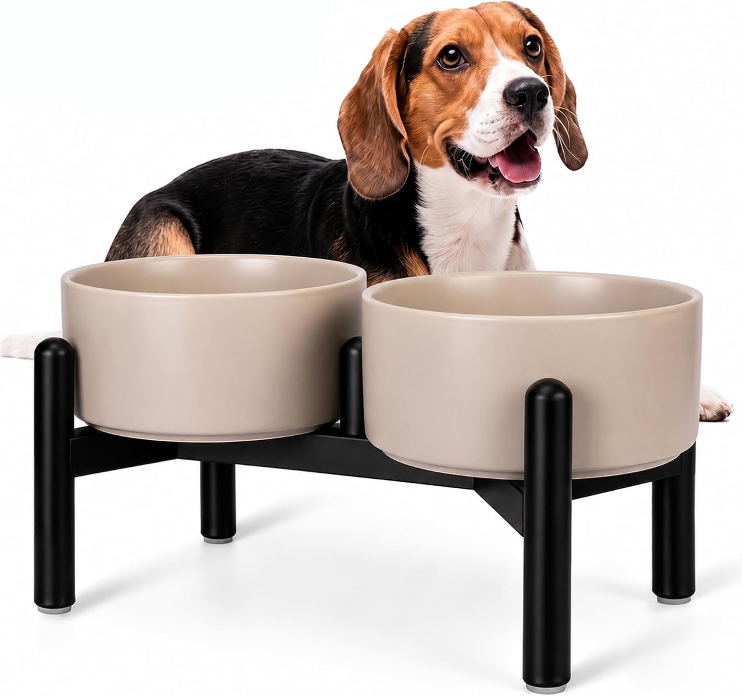 Amazon | 犬 フードボウル 陶器 食器 小型犬・中型犬用 ご飯皿・水飲み