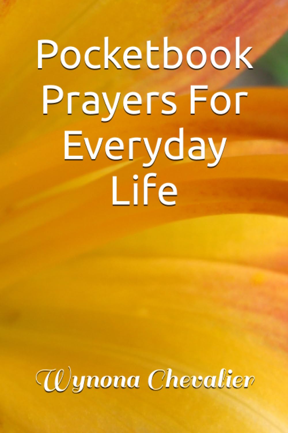 Pocketbook Prayers For Everyday Life