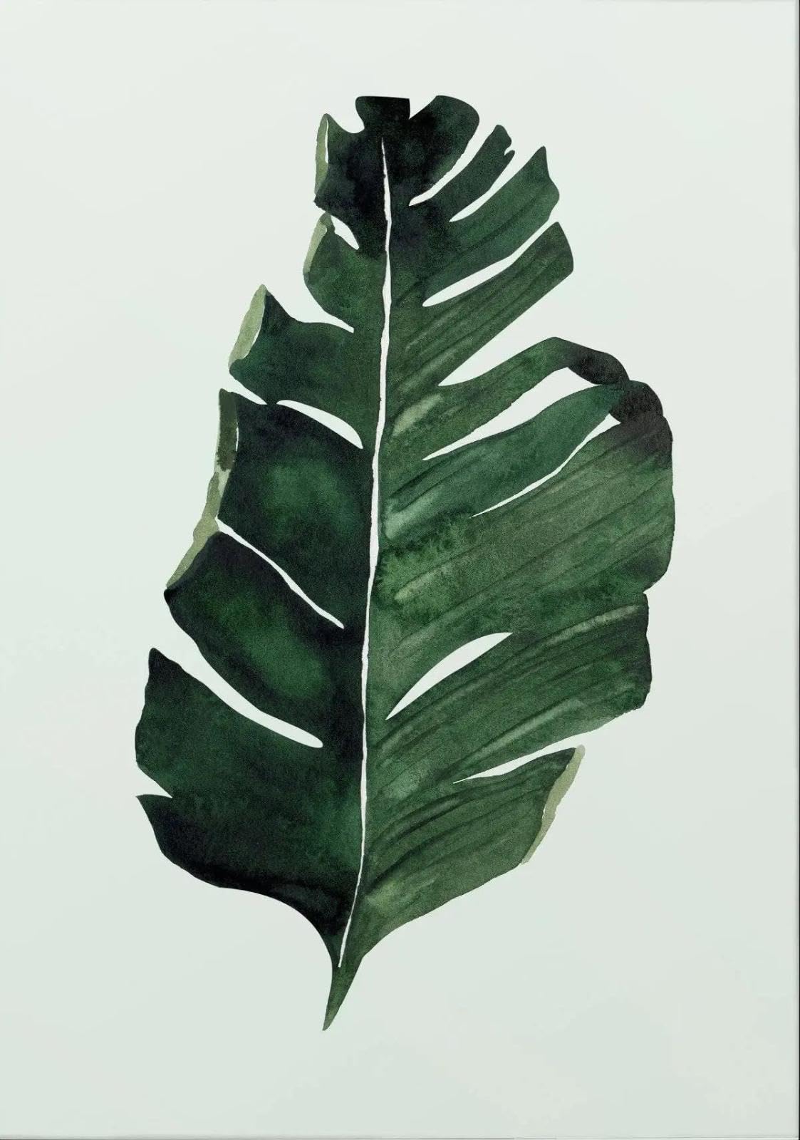 Baibexing Minimalist Tropical Leaf Digital Nature Canvas Painting Posters Prints Wall Art For Living Room Home Decor A4 30X40Cm Unframed