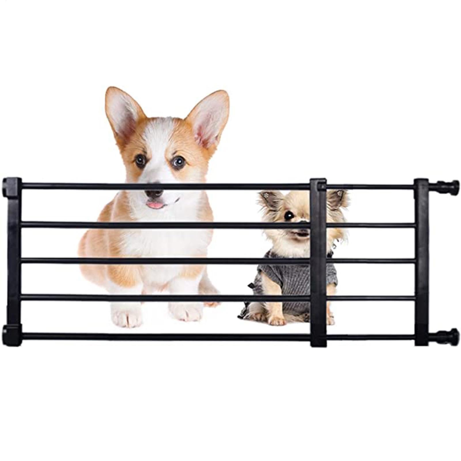 Barrière en métal OChien rétractable contre les intrusions d'animaux