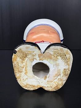 Amazon | 内藤ルネ RUNE 水兵セーラー 約21cm 陶器製 貯金箱 sailor