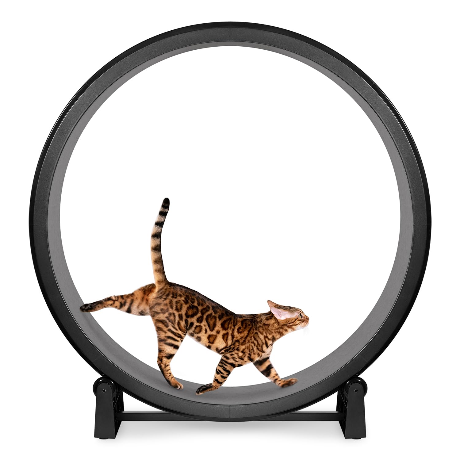 One Fast Cat - Rueda de ejercicio para gatos - Fabricado en los Estados Unidos - 48 pulgadas de diámetro - Gen 7 | Negro con almohadillas de tracción de fieltro gris y ruedas en línea negras sólidas