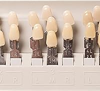 Vista 3 de ZJchao Sombra de dientes, sombra de dientes, 29 colores extraíbles, tabla de sombra para blanquear los dientes