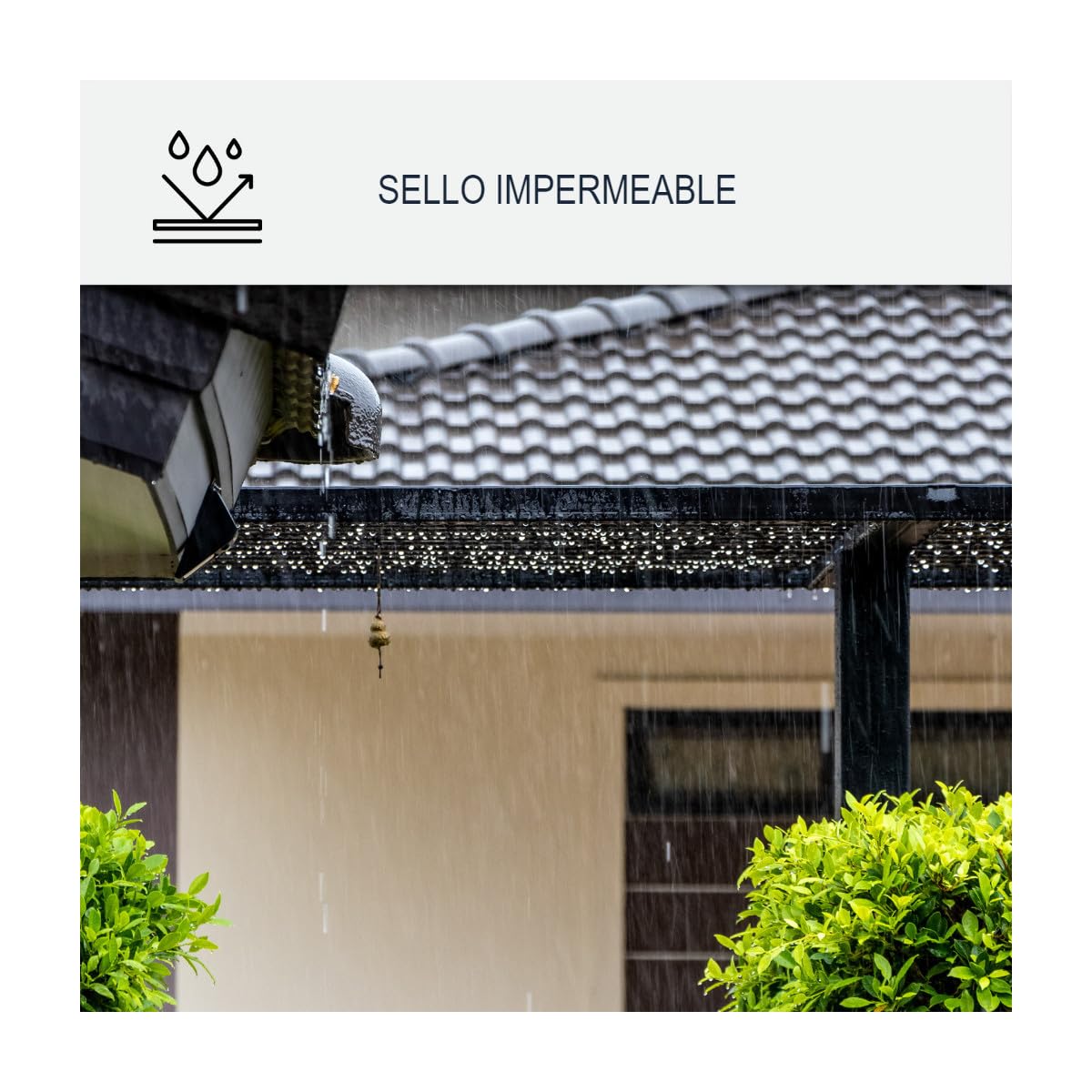 Adhesivo MS Polímero, Masilla Impermeable, Vidrio 290 ml x 12 Transparente | Pega e Impermeabiliza, Adhiere Sobre Vidrio, Aluminio, Hormigón, Piedra, Incluso Bajo el Agua - Arcane Industries