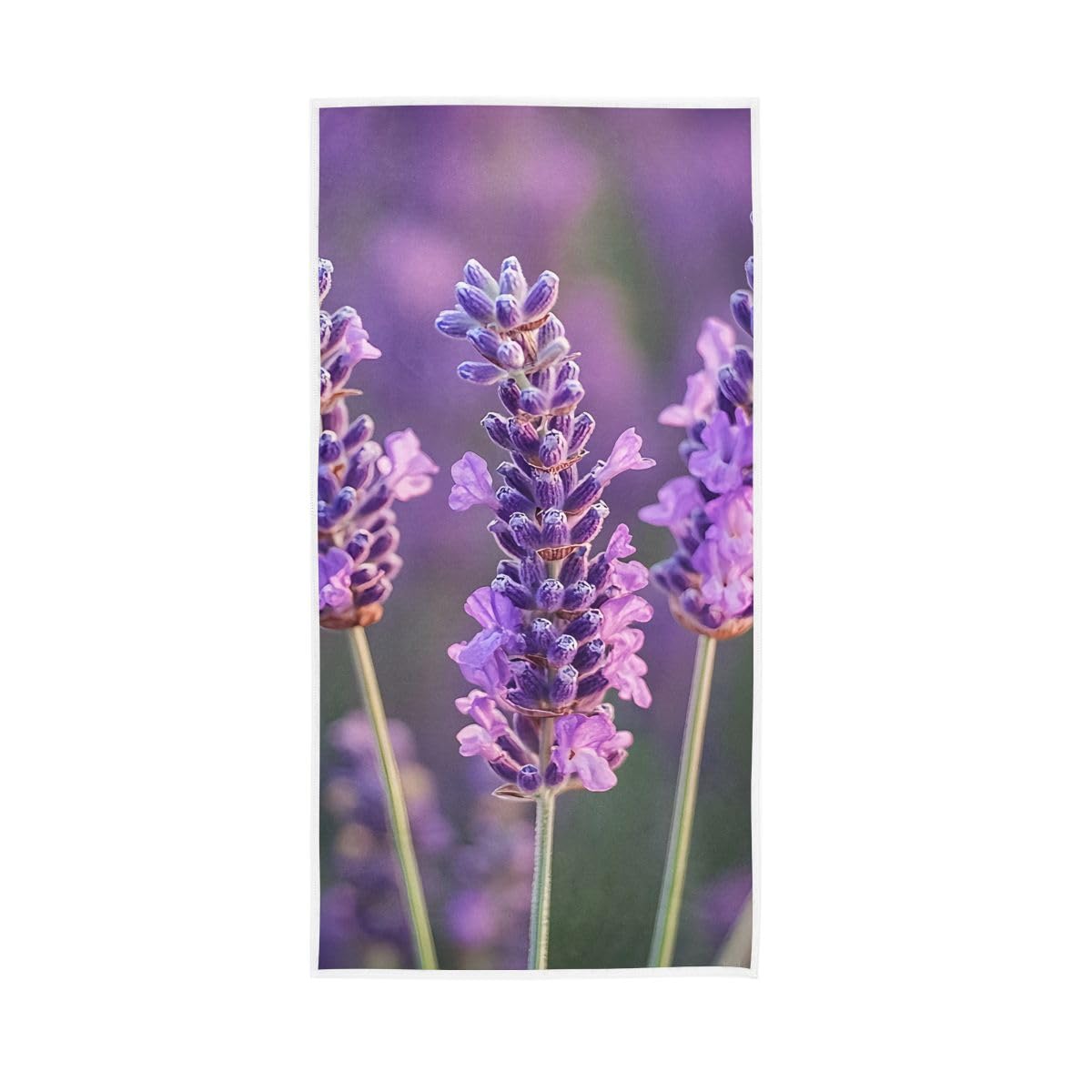 HUYGD Wild Lavender Flowers Hand Towels, Bathroom Towel for Bathroom, Gym, Hotel, Spa 15 x 30 Inches