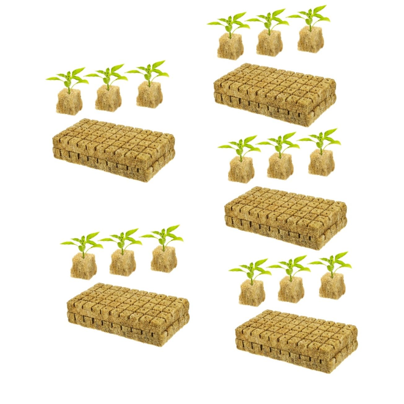 Toddmomy 5 Ensembles Cubes De Culture Hydroponique pour Bouturage Et Propagation De Plantes Bloc De Semis De Qualité Format pour Culture Soilless Et Transplantation 100 Pièces * 5