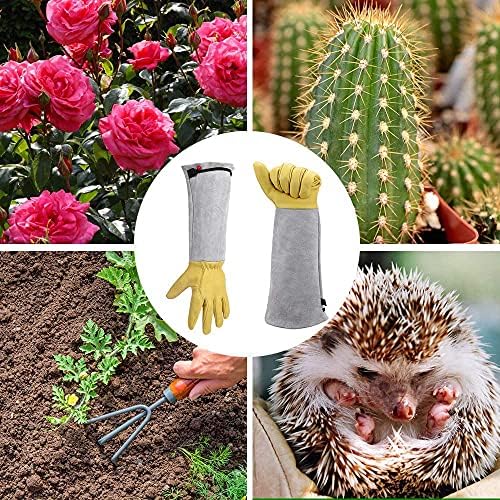 13 Best Work Gloves For Cactus For Every Need Honest Reviews Www