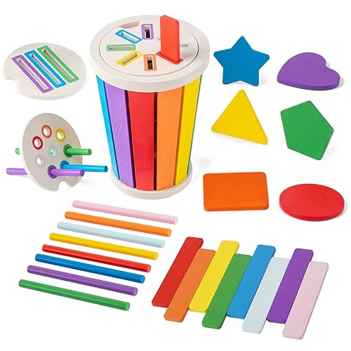 Jouet en Bois Bebe 1 2 an, Jeux de Tri