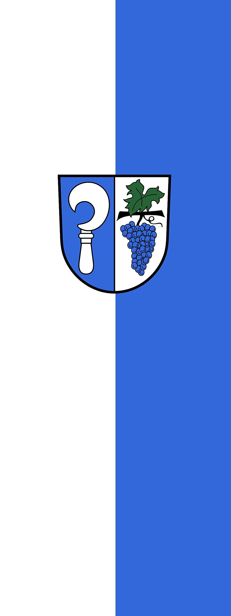 Drapeau Laudenbach portrait 6m² pour remplacer vos pavillons usés par le vent 400x150cm