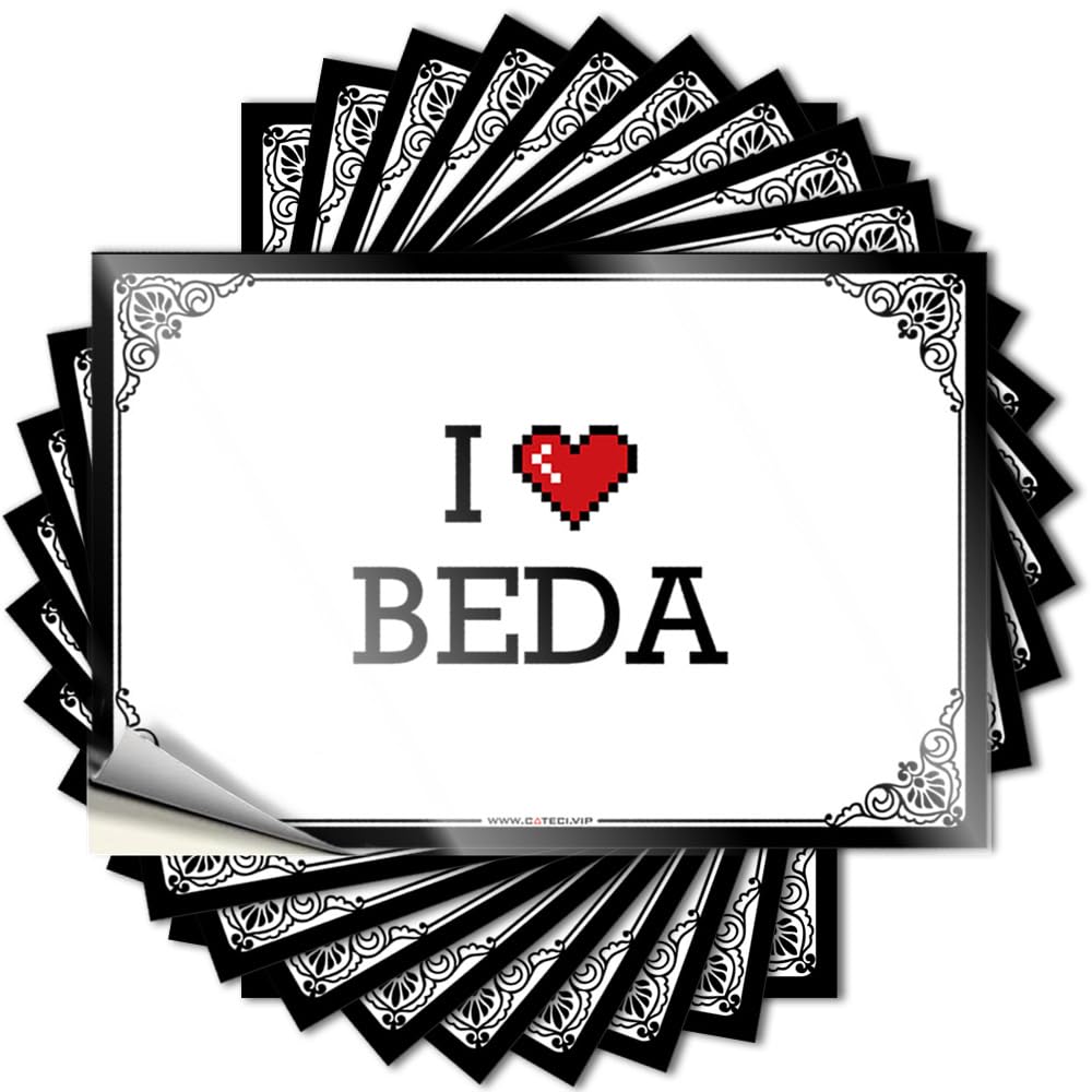 Porch Decorations Outdoor Saying Tumbler | I Love Beda Crazy Billiards Sticker Pack(12X18CM)