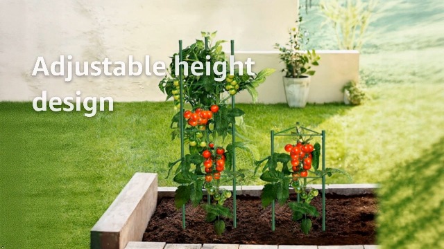 Amazon.com : 6 Pack Tomato Cages, 51.2in Tomato Plant Support