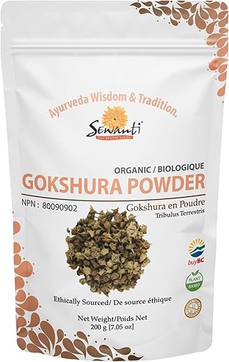 6 Best Chaga Mushroom Products for Health