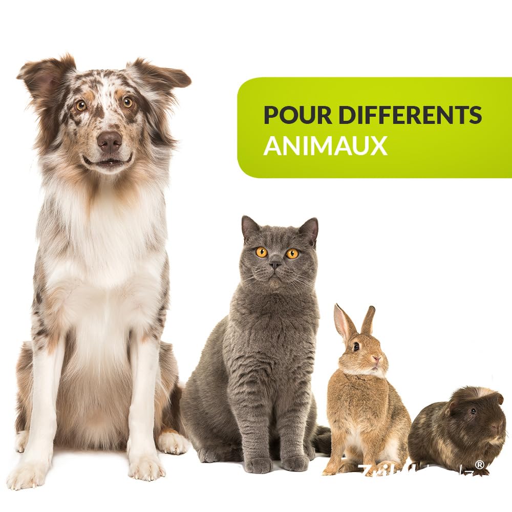Zrilubkrelz® Lot de 3 Tire Tiques – Tire Tiques pour Chien et Chat – 3 Tailles