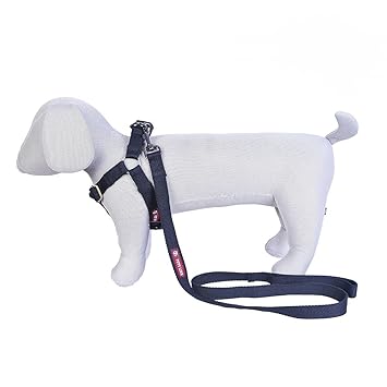 Pets Like Spun Poly V Harness with Leash Set Black (Small)