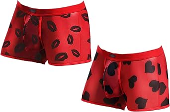 Evankin Men's Underwear Sexy Mesh Breathable Boxer Briefs Low Rise Cool Valentines Boxers Pack Set
