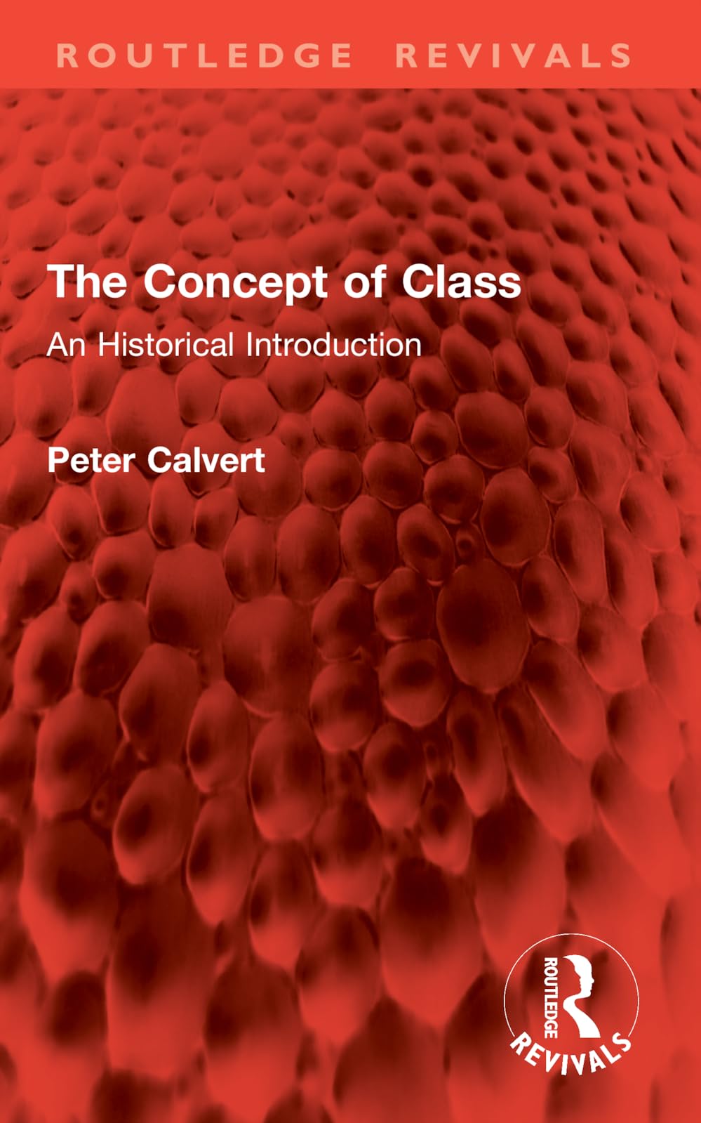 The Concept of Class: An Historical Introduction (Routledge Revivals)