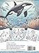 Ocean Scenes: A Fun and Relaxing Sea Life Coloring Book for Kids and Adults: Underwater Wonders: A Fun and Stress-Relieving Coloring Adventure for Adults