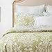 Laura Ashley - Queen Quilt Set, Reversible Cotton Bedding with Matching Shams, Home Decor for All Seasons (Rowland Sage, Queen)