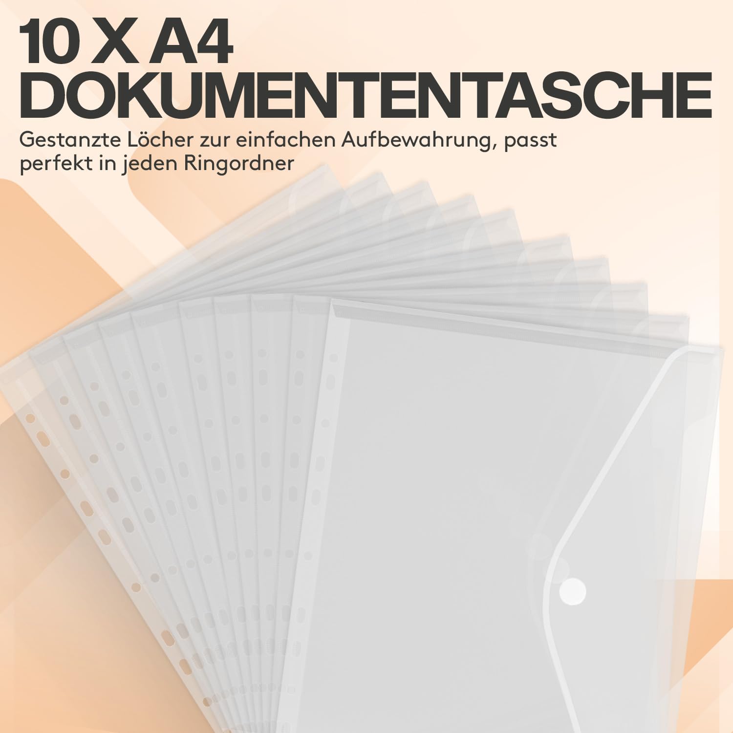 ACROPAQ - 10 x Ringbuch A4 - Inkl. 10 x Dokumententasche, 25 x Klarsichthüllen und 12 x Rückenetiketten, Mit 2 Ringen, Rückenbreite 2,5 cm, Regenbogen, "Nature" Farbkollektion - Ringhefter, Ringordner