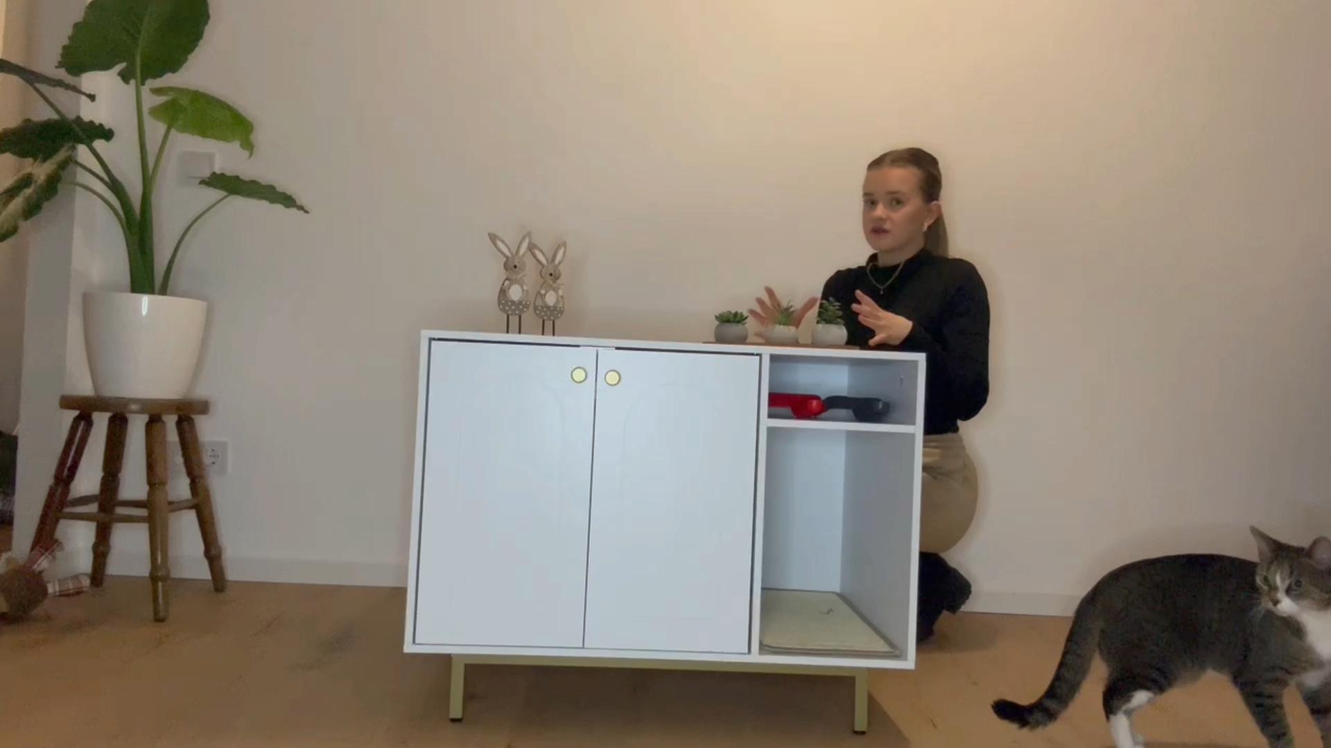 Hzuaneri Mobiletto Lettiera Gatto Multifunzione Recensione: La