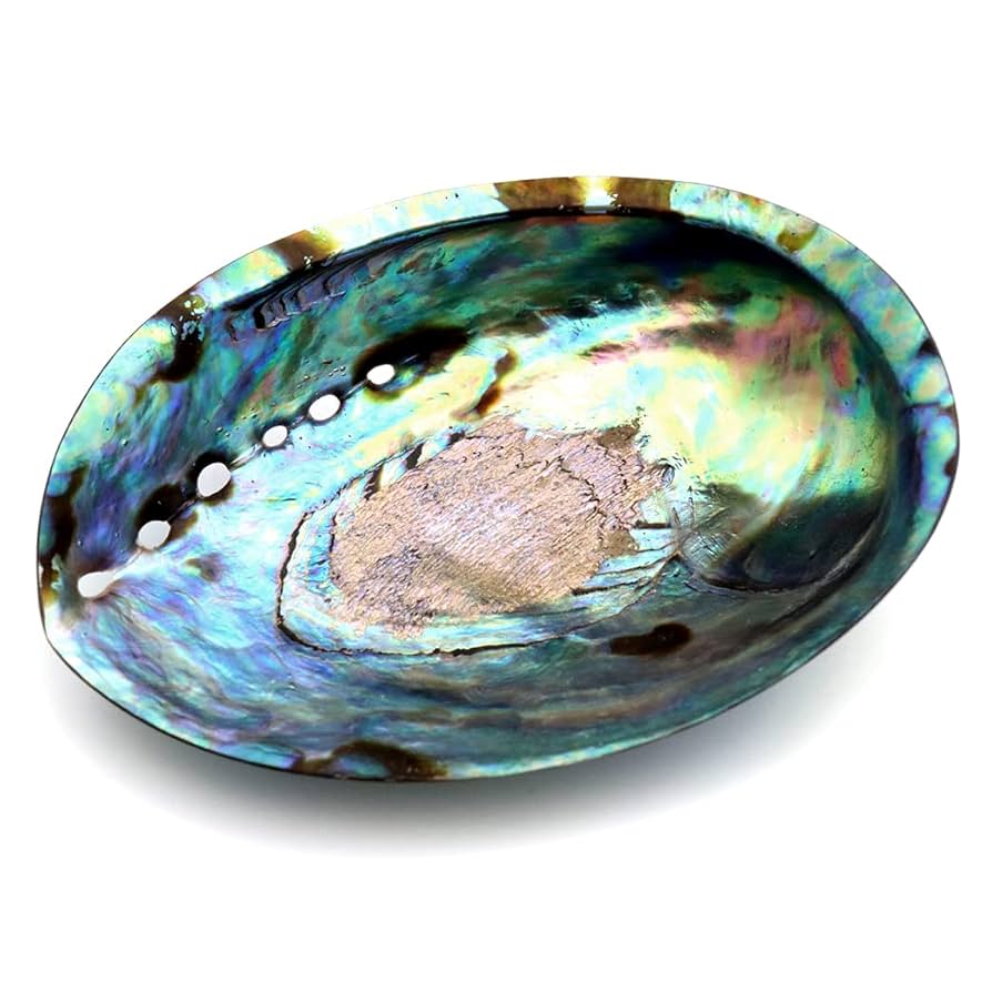 グリーンアバロン　アワビ　貝殻　アバロンシェル　790g 約21×17cm Amazon.co.jp: アバロンシェル 浄化皿 1枚売り パウアシェル