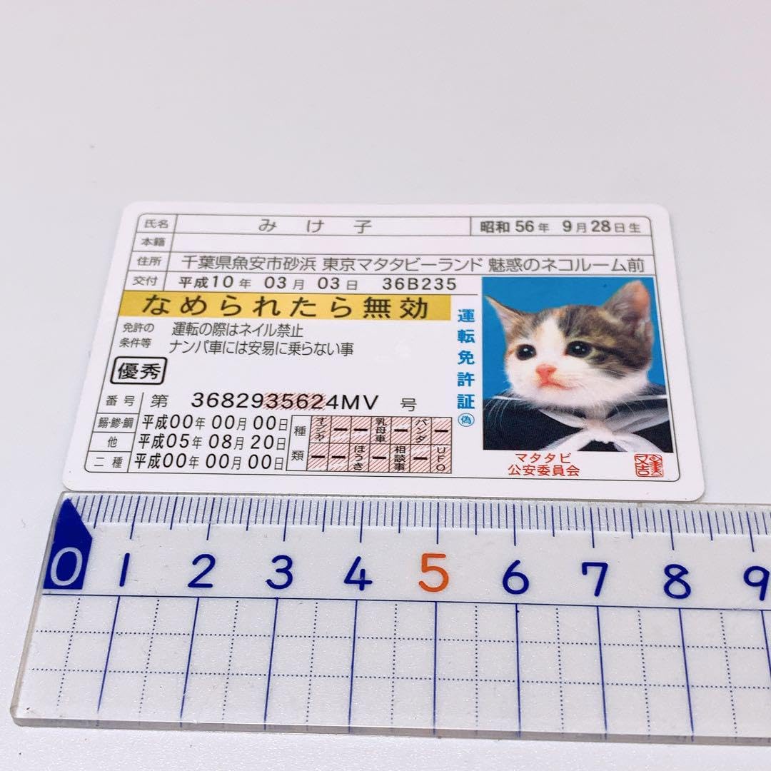 Amazon.co.jp: なめんなよ なめ猫免許証(みけ子) : おもちゃ