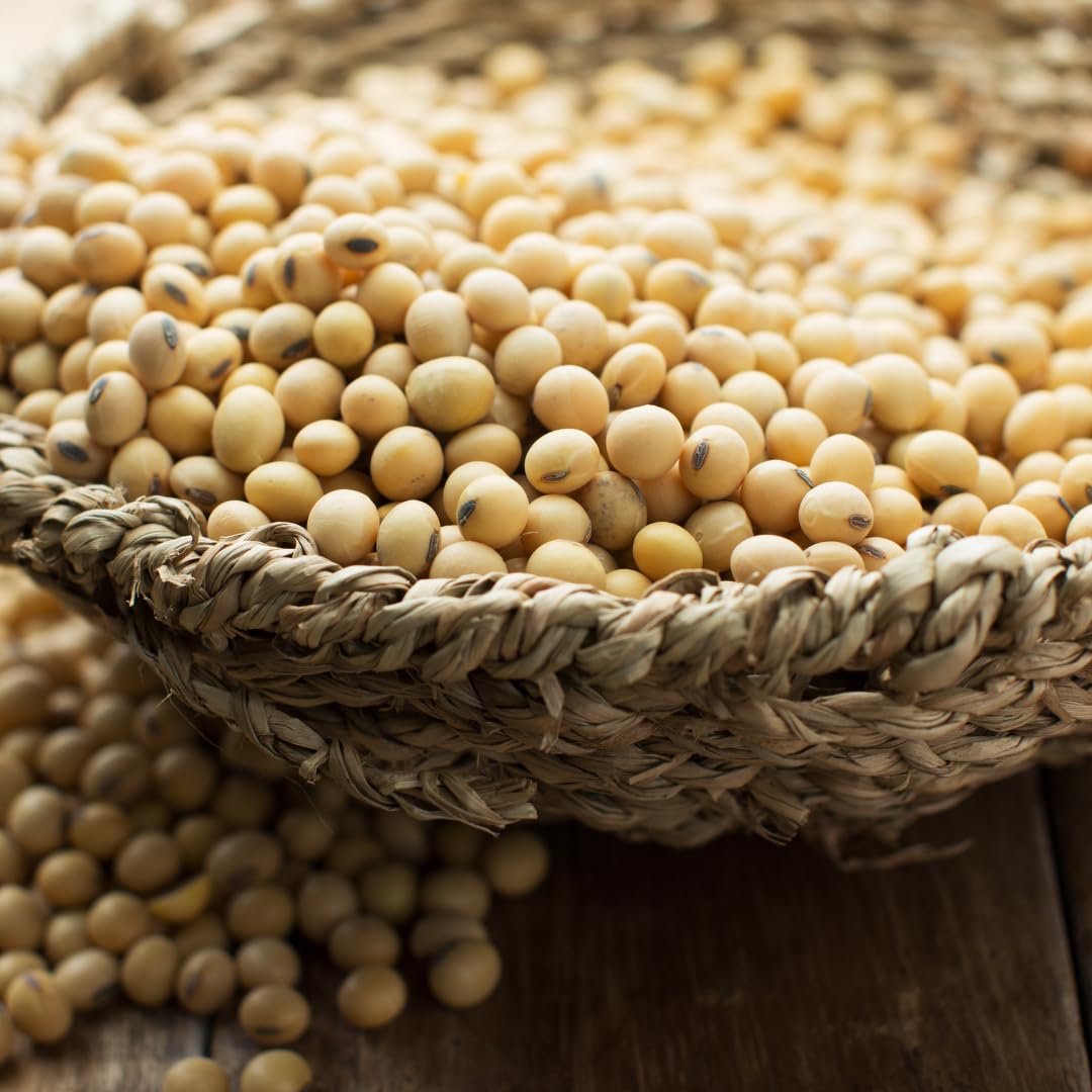 BONGIOVANNI FARINE E BONTA' NATURALI Soja Amarilla Italiana 1Kg ORGÁNICA