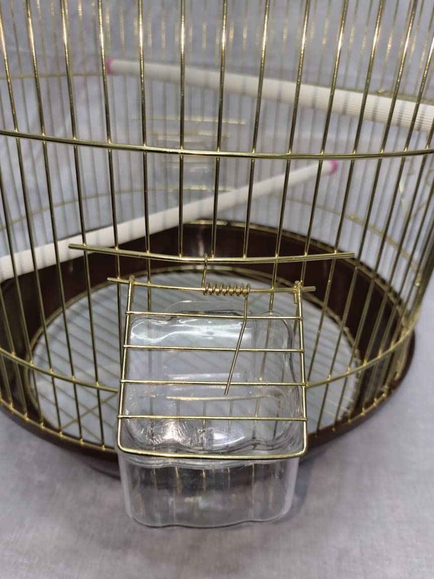 CENTRAL FISH AQUARIUM Bird Cage For Budgies,Finches,Love Birds,Cuttlefish Boneholder,Cuttlefish Bone,2 Plastic Perch,2Cups,Swing (H: 18 Inches/Circumference : 12 Inches)-(004 Gold) Small 1