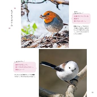 Shimaenaga Exchange Diary 2 Cute Okochama also joins the group
