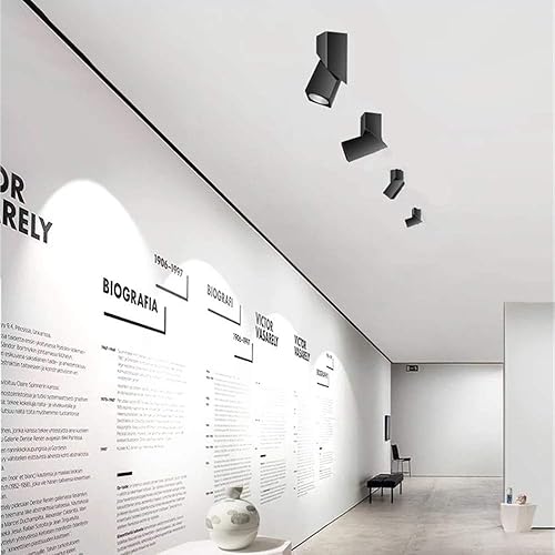 Miniatura 17 de Foco de techo LED para interiores, lámpara de pared ajustable de 360°, focos artísticos de bricolaje, luz blanca fría de 12 W, luz blanca fría