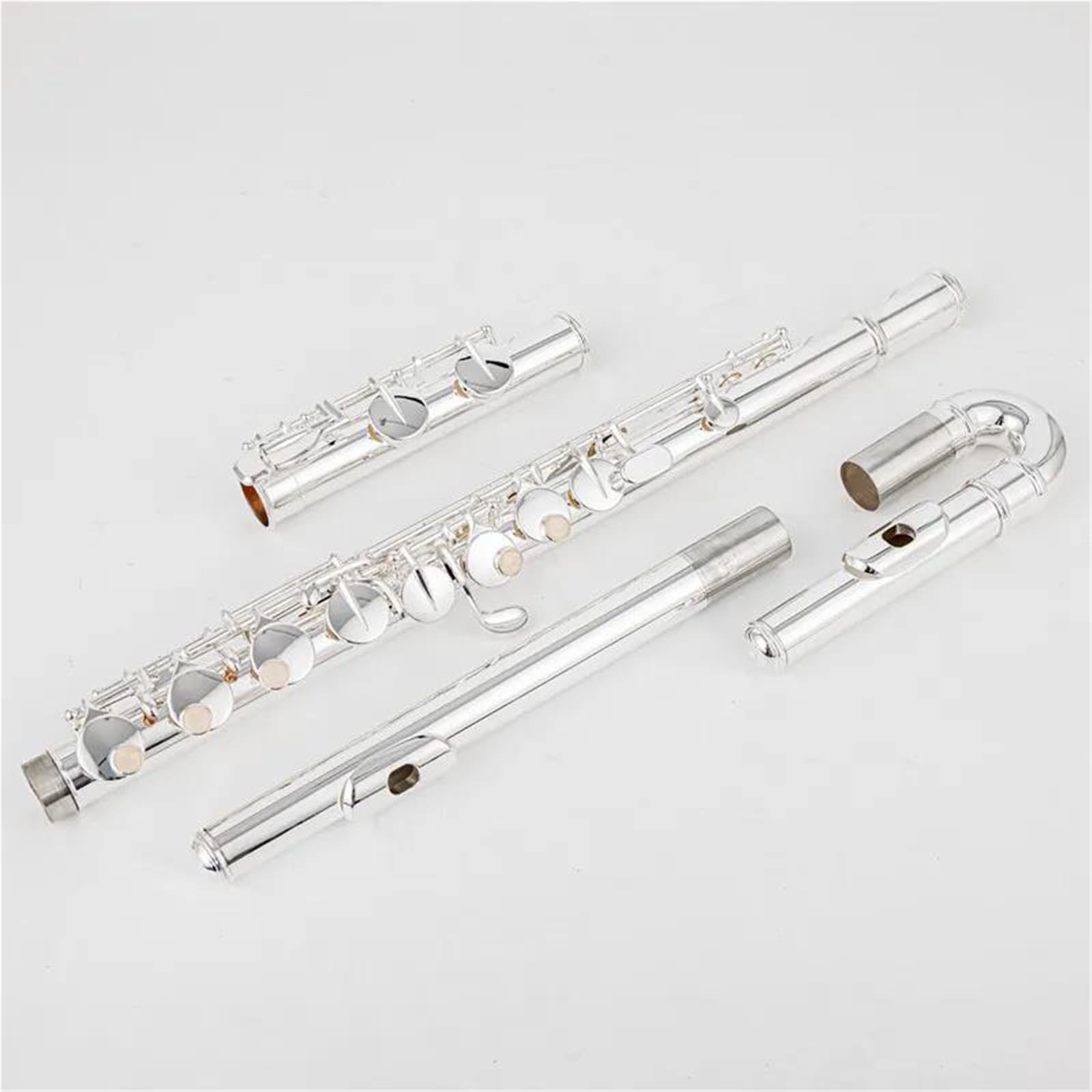Flauto Flauto contralto G 16 Foro chiuso Strumento professionale argentato con custodia