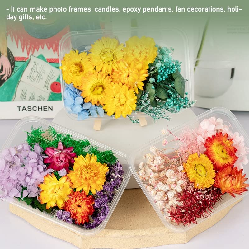 Flores secas naturales para manualidades DIY 17x12cm miniatura 5