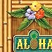Beistle Aloha Door Cover Pack of 2