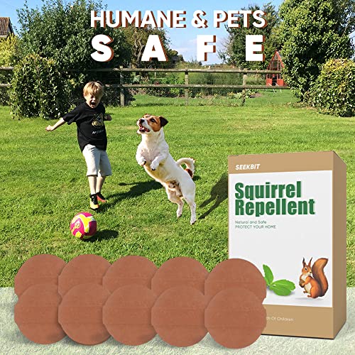 Seekbit 10 Pack Squirrel Repellent | Repels Chipmunk Rodent Mice | Peppermint Oil Attic, Garden Squirrels Deterrent | Car Engines Under Hood Pest Repeller | Waterproof Long Lasting, Bags #TOP2