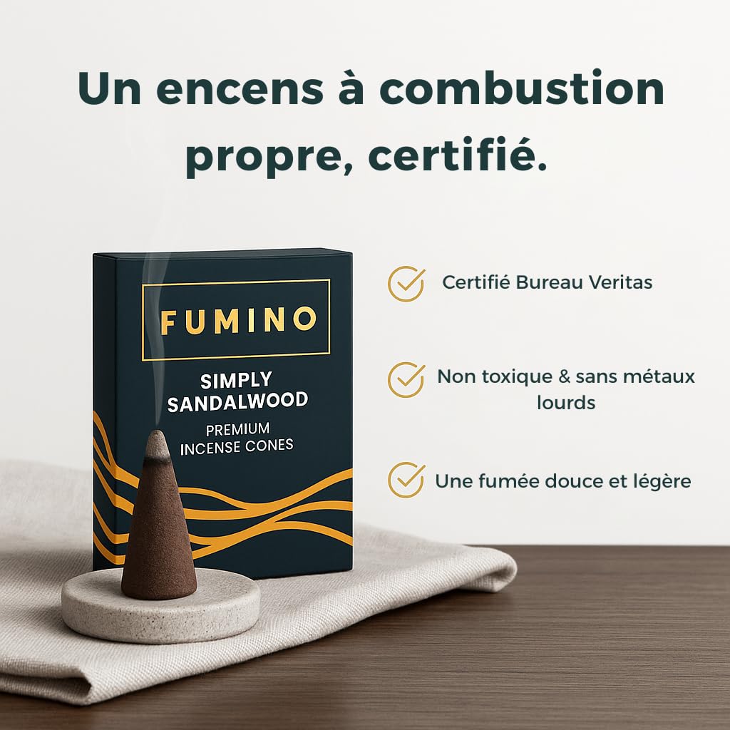 Fumino Encens Cone Naturels Faits Maison Lot 6 boîtes 90 cônes Masala Agarbatti Joss