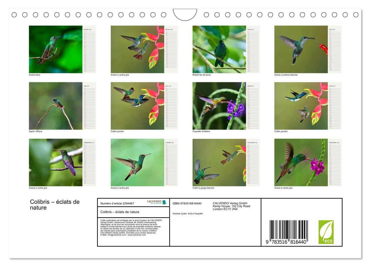 Colibris - éclats de nature (Calendrier mural 2027 DIN A4 vertical), CALVENDO calendrier mensuel: Joyaux de la forêt tropicale