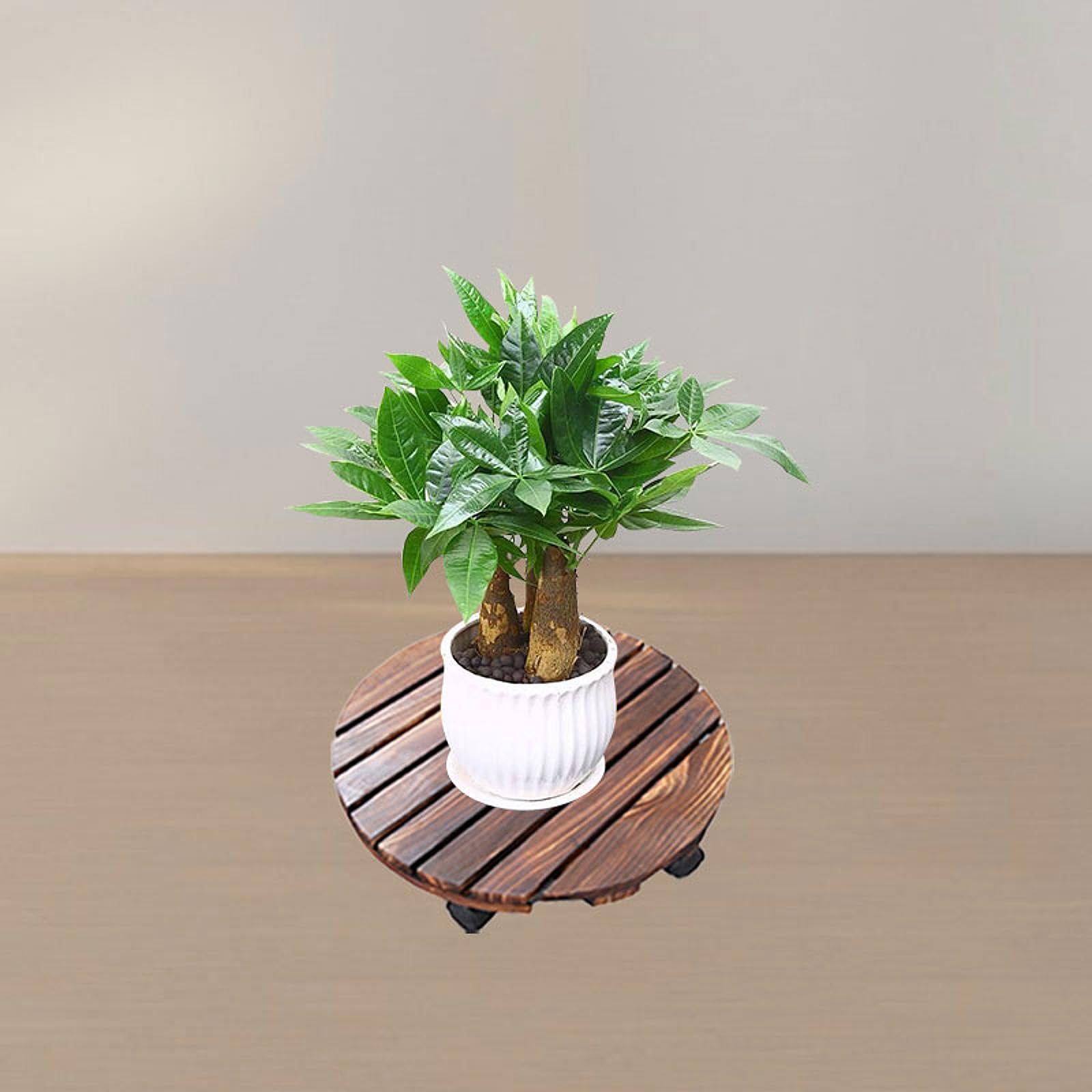 Baoblaze Support à roulettes en Bois pour Pot de Fleurs avec roulettes pivotantes pour Jardin intérieur et extérieur, 40 Cm