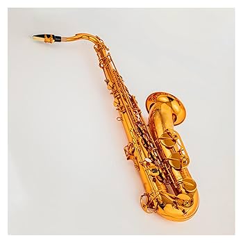 Amazon | テナーサックス B-フラット テナーサックス楽器 ケース