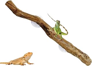 Rama de reptil, ramas de reptiles para escalar - Decoración única de escalada de reptiles - Decoración natural de reptil, adorno de tronco de árbol de madera, decoraciones de hábitat antideslizantes