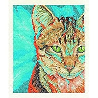 Amazon.com: DMC BK1570 Embroidery Kit, Animals-Cats Snowshoe
