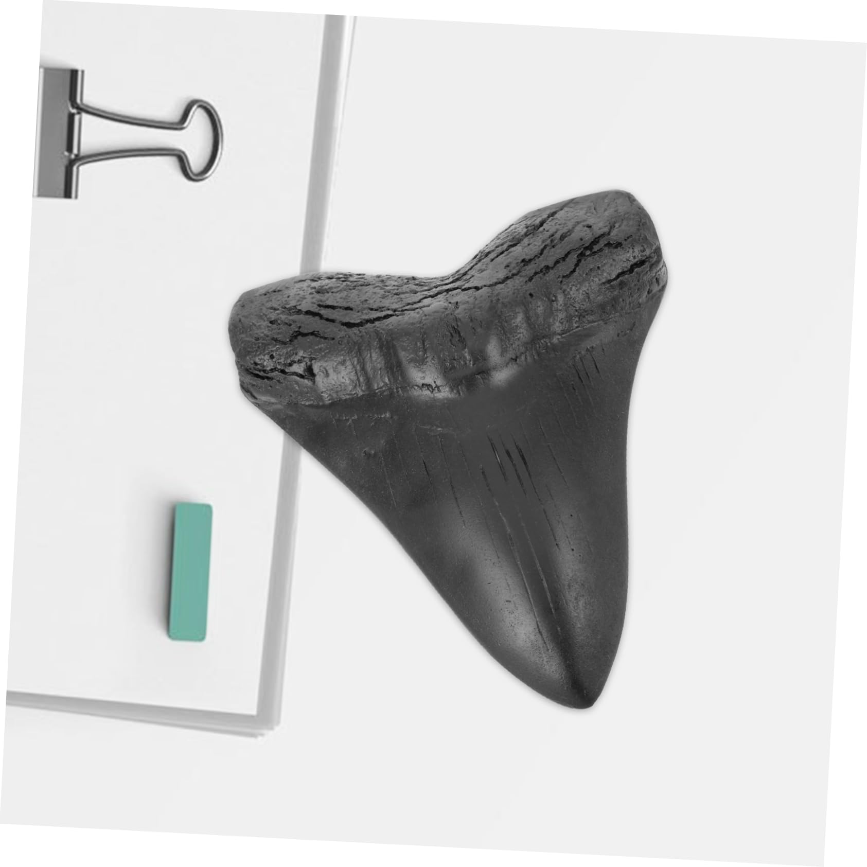 Happyyami Sharks Fossilized Genuine Retro Decor Shark Decoration Paleontological Decor Model Decor Kit Props Specimen Real Black