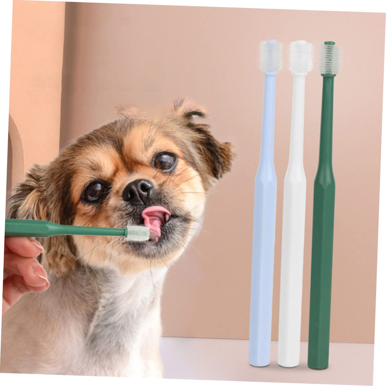 minkissy 12 Stk Zahnbürste Borsten Mundpflege Zähne Kunststoffreiniger Hundezahnreiniger Mundreinigungsbürste Zungenreiniger Für Hunde Katzenzahnreiniger Plastik Haustier Lieferungen