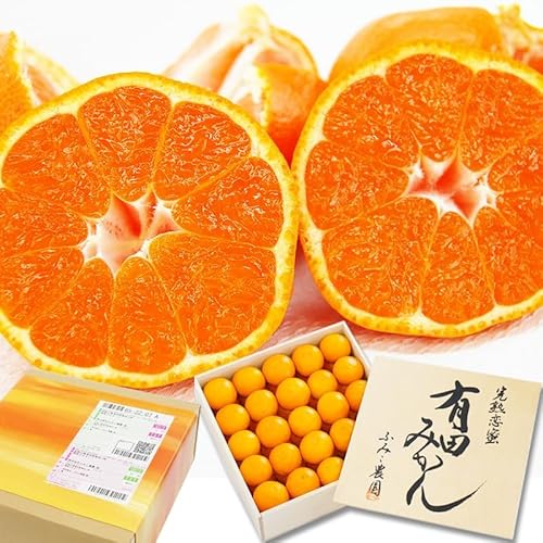 ӂ݂_ Ε t[c ؖؔInLc݂ mikan ݂ (11iiΕj)