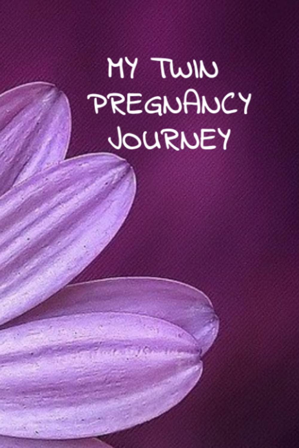 My Twin Pregnancy Journey