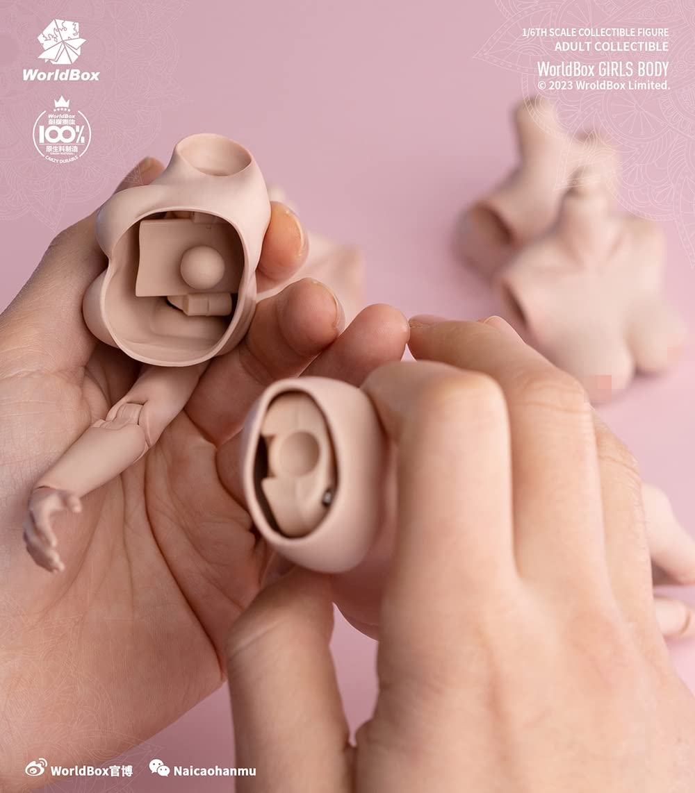 Amazon.co.jp: [Tbmodel] Worldbox 1/6 フィギュア 女性 バスト 胸