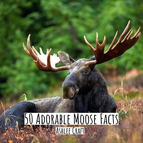 50 Adorable Moose Facts (50 Adorable Facts Book 2) (English Edition)