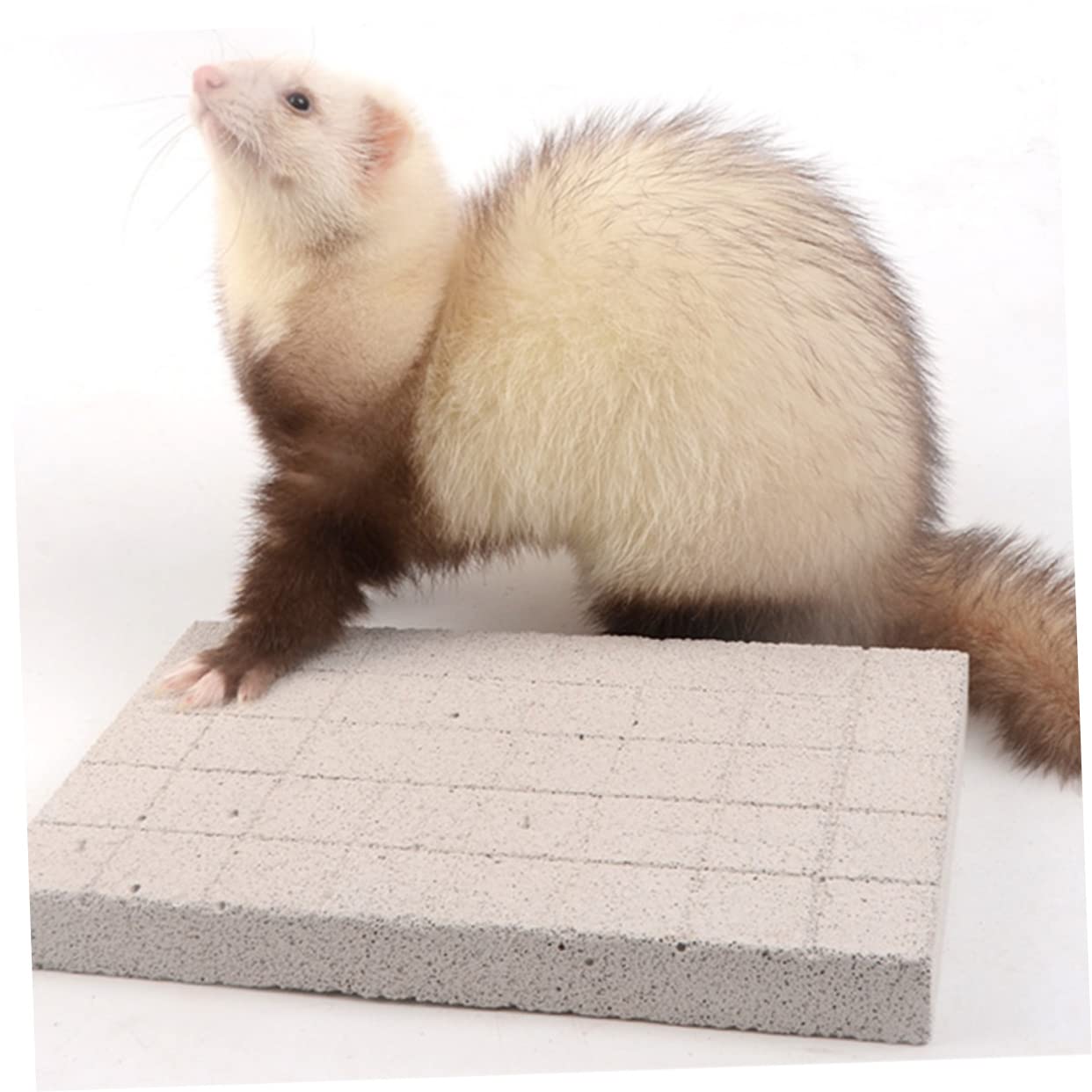 POPETPOP Schleifklauenbrett für Kleintiere als Fußpolster von Meerschweinchen und Meerschweinchenfüße Matte im Käfig als Rabbit Toys zur Nagelpflege