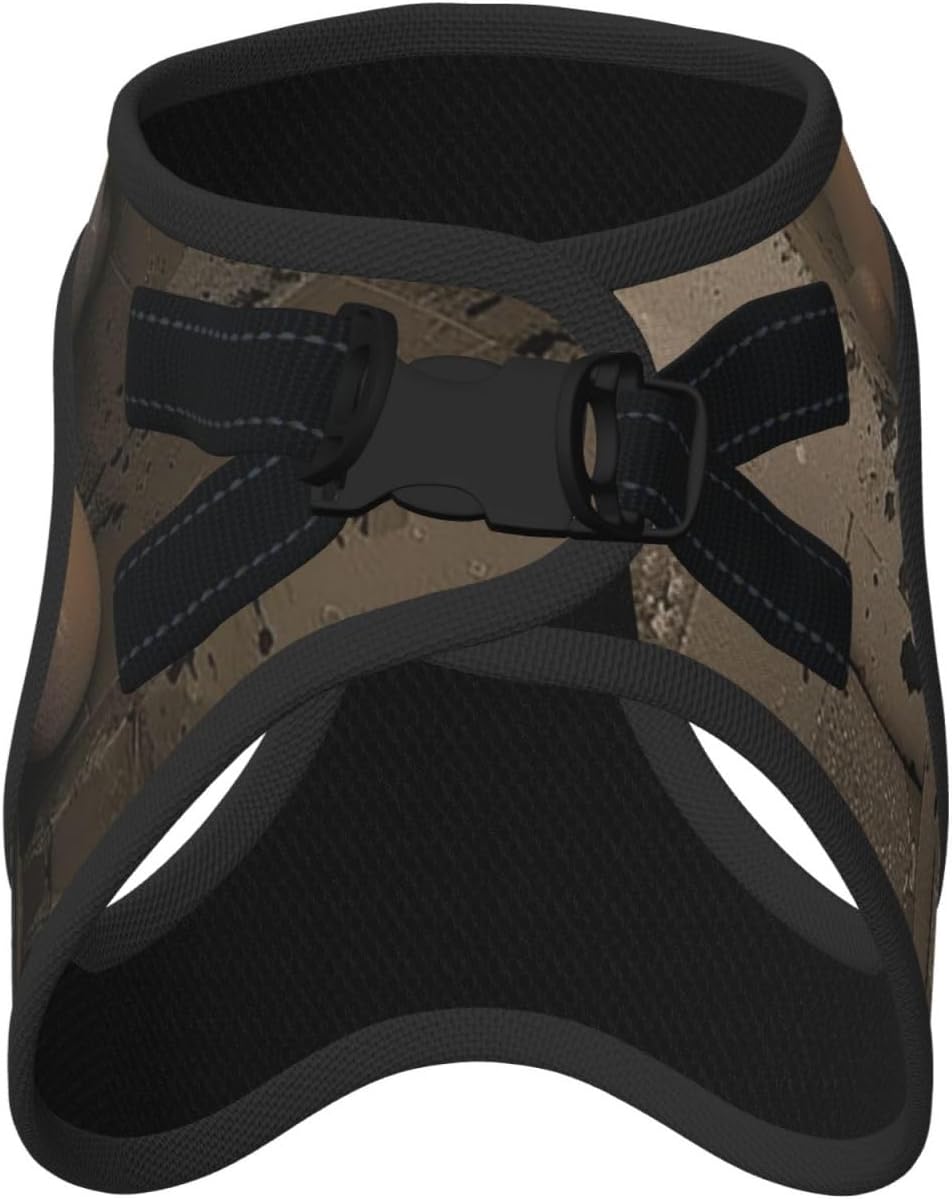 A Crumbling Wall Pet Vest Small Size Dog Harness and Leash Set, Reflective & Breathable for Puppy Training with Accessories Medium